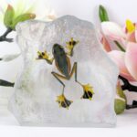 Echter fliegender Frosch in Kunstharz gegossen Geschenkidee Briefbeschwerer XXL