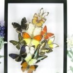 Wunderschöner großer 3D Schaukasten mit einem Strauß Schmetterlinge 3D 10