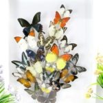 Wunderschöner sehr großer 3D Schaukasten mit einem Strauß Schmetterlinge 3D 10