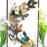 Wunderschöner großer 3D Schaukasten mit 18 Schmetterlingen 3D 05