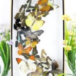 Wunderschöner großer 3D Schaukasten mit 18 Schmetterlingen 3D 06