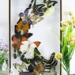 Wunderschöner großer 3D Schaukasten mit 17 Schmetterlingen 3D 24