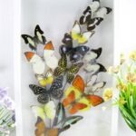 Wunderschöner großer 3D Schaukasten mit einem Strauß Schmetterlinge 3D hoch 02