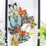 Wunderschöner großer 3D Schaukasten mit einem Strauß Schmetterlinge 3D hoch 04