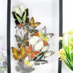 Wunderschöner großer 3D Schaukasten mit einem Strauß Schmetterlinge 3D hoch 05