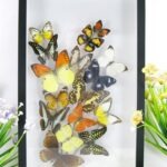 Wunderschöner großer 3D Schaukasten mit einem Strauß Schmetterlinge 3D hoch 06