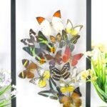 Wunderschöner großer 3D Schaukasten mit einem Strauß Schmetterlinge 3D hoch 07