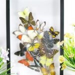 Wunderschöner großer 3D Schaukasten mit einem Strauß Schmetterlinge 3D hoch 08