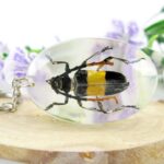 Extravaganter Schlüsselanhänger mit echtem Insekt 01