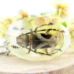 Extravaganter Schlüsselanhänger mit echtem Insekt 06