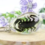 Extravaganter Schlüsselanhänger mit echtem Skorpion - oval