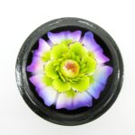 Handgeschnitzte Seifenblume in einer Kokusnuss 11 EINZELSTÜCK