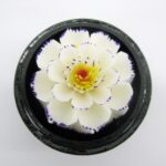 Handgeschnitzte Seifenblume in einer Kokusnuss 06 EINZELSTÜCK