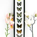 8 wunderschöne echte Schmetterlinge im XXL Schaukasten 58 x 13,5 x 2cm Nr. h 12