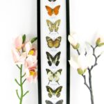 8 wunderschöne echte Schmetterlinge im XXL Schaukasten 58 x 13,5 x 2cm Nr. h 24