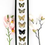 8 wunderschöne echte Schmetterlinge im XXL Schaukasten 58 x 13,5 x 2cm Nr. h 30