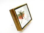 2x Phymateus saxosus - Grashopper - echte tropische Insekten - im 3D Schaukasten - Doppelpack – Bild 8