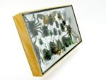 Echte exotische Insekten - Einzelstück - im 3D L-Schaukasten - Wandbild 7-A-L-05 – Bild 3