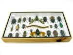 Echte exotische Insekten - Einzelstück - im 3D L-Schaukasten - Wandbild 4-A-L-12 – Bild 9