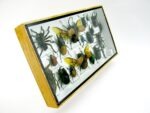 Echte exotische Insekten - Einzelstück - im 3D L-Schaukasten - Wandbild 5-A-L-20 – Bild 3