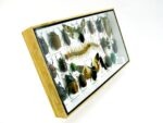 Echte exotische Insekten - Einzelstück - im 3D L-Schaukasten - Wandbild 7-A-L-25 – Bild 3