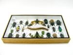Echte exotische Insekten - Einzelstück - im 3D L-Schaukasten - Wandbild 1-A-L-35 – Bild 9