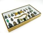 Echte exotische Insekten - Einzelstück - im 3D L-Schaukasten - Wandbild 1-A-L-36 – Bild 5