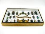 Echte exotische Insekten - Einzelstück - im 3D L-Schaukasten - Wandbild 1-A-L-36 – Bild 9