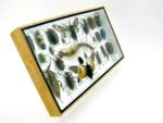 Echte exotische Insekten - Einzelstück - im 3D L-Schaukasten - Wandbild 4-A-L-46 – Bild 3