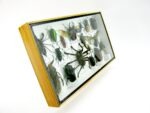 Echte exotische Insekten - Einzelstück - im 3D L-Schaukasten - Wandbild 7-A-L-48 – Bild 3