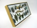 Echte exotische Insekten - Einzelstück - im 3D L-Schaukasten - Wandbild 3-A-L-51 – Bild 3