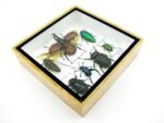 Echte exotische Insekten - Einzelstück - im 3D S-Schaukasten - Wandbild A-S-03 – Bild 6
