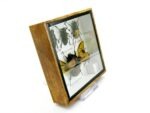 Echte exotische Insekten - Einzelstück - im 3D S-Schaukasten - Wandbild A-S-04 – Bild 4