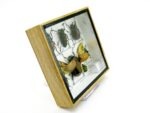 Echte exotische Insekten - Einzelstück - im 3D S-Schaukasten - Wandbild A-S-05 – Bild 4