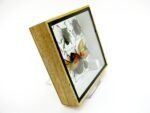 Echte exotische Insekten - Einzelstück - im 3D S-Schaukasten - Wandbild A-S-08 – Bild 5