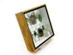 Echte exotische Insekten - Einzelstück - im 3D S-Schaukasten - Wandbild A-S-11 – Bild 4