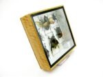 Echte exotische Insekten - Einzelstück - im 3D S-Schaukasten - Wandbild A-S-12 – Bild 4