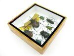 Echte exotische Insekten - Einzelstück - im 3D S-Schaukasten - Wandbild A-S-13 – Bild 7