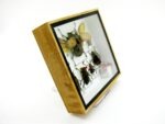 Echte exotische Insekten - Einzelstück - im 3D S-Schaukasten - Wandbild A-S-15 – Bild 4