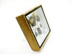 Echte exotische Insekten - Einzelstück - im 3D S-Schaukasten - Wandbild A-S-16 – Bild 4