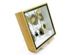 Echte exotische Insekten - Einzelstück - im 3D S-Schaukasten - Wandbild A-S-18 – Bild 4