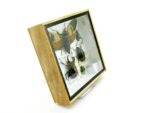 Echte exotische Insekten - Einzelstück - im 3D S-Schaukasten - Wandbild A-S-20 – Bild 4