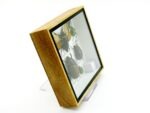 Echte exotische Insekten - Einzelstück - im 3D S-Schaukasten - Wandbild A-S-23 – Bild 4