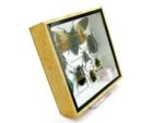 Echte exotische Insekten - Einzelstück - im 3D S-Schaukasten - Wandbild A-S-24 – Bild 4