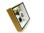 Echte exotische Insekten - Einzelstück - im 3D S-Schaukasten - Wandbild A-S-25 – Bild 4