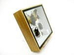 Echte exotische Insekten - Einzelstück - im 3D S-Schaukasten - Wandbild A-S-26 – Bild 4