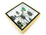 Echte exotische Insekten - Einzelstück - im 3D S-Schaukasten - Wandbild A-S-32 – Bild 7