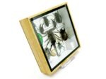 Echte exotische Insekten - Einzelstück - im 3D S-Schaukasten - Wandbild A-S-39 – Bild 4