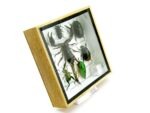 Echte exotische Insekten - Einzelstück - im 3D S-Schaukasten - Wandbild A-S-41 – Bild 4
