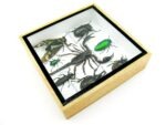 Echte exotische Insekten - Einzelstück - im 3D S-Schaukasten - Wandbild A-S-42 – Bild 8